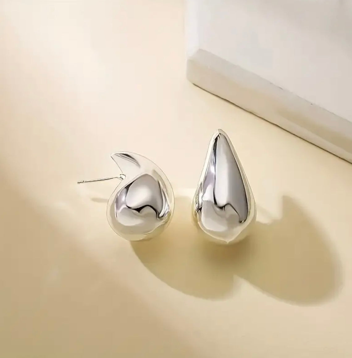 Bottega Silver Earrings